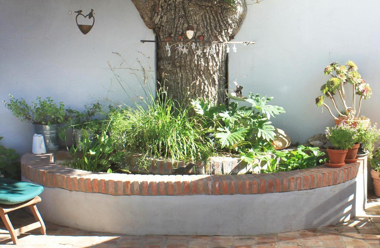 Himmelblau Boutique Bed And Breakfast Città del Capo Esterno foto